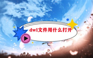 dwl文件用什么打开 dwl格式的文件怎么打开
