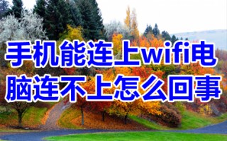 手机能连上wifi电脑连不上怎么回事 电脑连不上网但是手机可以怎么解决