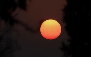 操心太多的心情说说句子（事情太多了心累的说说）