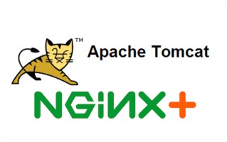 apache tomcat有什么用（tomcat和apache有什么区别）