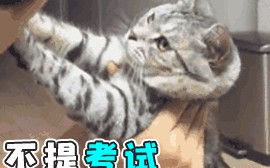 excel中如何计算排名名次（3种方法快速搞定名次排列）