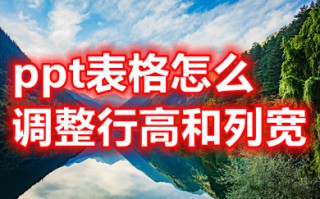 ppt表格怎么调整行高和列宽 ppt表格怎么调整表格大小