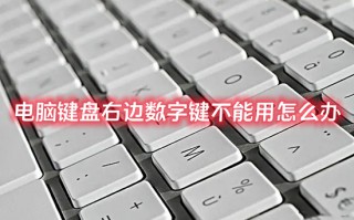 电脑键盘右边数字键不能用怎么办 键盘数字键打不出来怎么解锁
