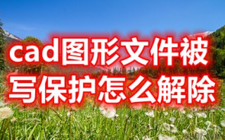 cad图形文件被写保护怎么解除 cad图形文件被写保护无法保存怎么办