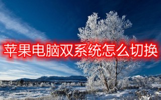 苹果电脑双系统怎么切换 苹果电脑双系统的切换方法