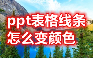 ppt表格线条怎么变颜色 ppt表格怎么设置框线颜色