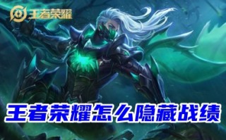王者荣耀怎么隐藏战绩 王者荣耀隐藏战绩信息的方法教程