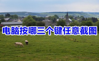 电脑按哪三个键任意截图 电脑上任意截图的八种方法介绍