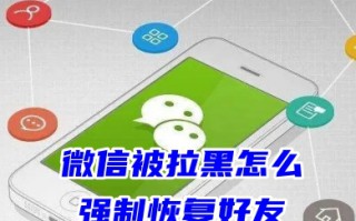 微信被拉黑怎么强制恢复好友 如果对方把我拉黑了怎么正常恢复