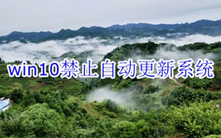 win10禁止自动更新系统 win10禁止自动更新的五种方法教程
