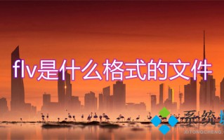 flv是什么格式的文件 flv和mp4什么区别