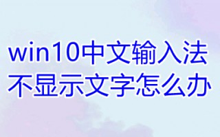 win10中文输入法不显示文字怎么办 win10中文输入法不显示文字的解决方法
