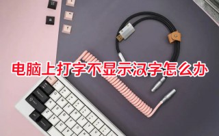电脑上打字不显示汉字怎么办 电脑打字不显示字怎么回事