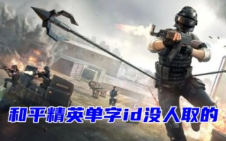 和平精英单字id没人取的 2023和平精英单字冷门生僻字ID分享