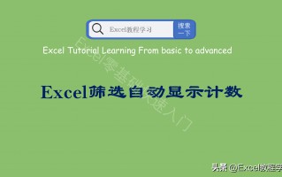 excel筛选后自带数量（教你筛选如何自动显示计数）