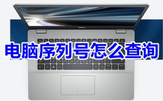 电脑序列号怎么查询 电脑序列号在哪查