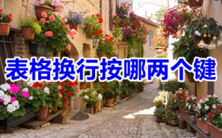 表格换行按哪两个键 表格换行快捷键ctrl+什么