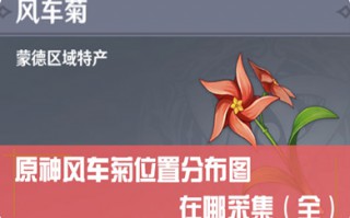 原神风车菊分布图 原神风车菊最佳采集路线