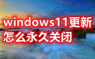 windows11更新怎么永久关闭 windows11关闭自动更新教程