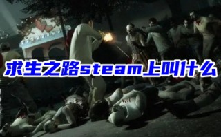 求生之路steam上叫什么 在steam上下载求生之路的方法教程