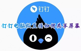钉钉电脑版直播如何共享屏幕 电脑钉钉共享屏幕怎么弄