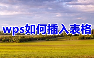 wps如何插入表格 用wps怎么制作表格
