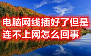 电脑网线插好了但是连不上网 电脑网线插好了连不上网的原因及解决方法