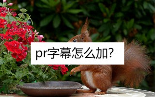 pr添加字幕的三种方法，添加字幕的软件