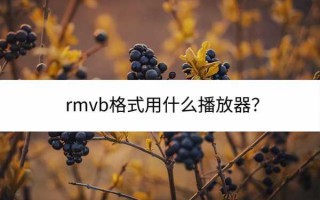 rmvb格式是什么意思（rmvb格式用什么播放器）