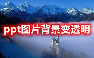 ppt图片背景变透明 ppt图片透明度设置方法介绍