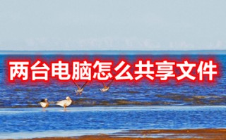 两台电脑怎么共享文件 两台电脑共享文件的操作方法