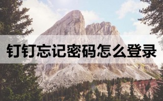 钉钉忘记密码怎么登录 钉钉原密码忘了怎么办