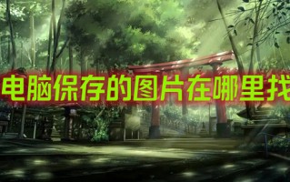 电脑保存的图片在哪里找 电脑保存的图片路径