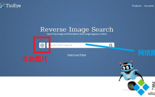 win7如何使用图片进行搜索|win7搜索图片的方法