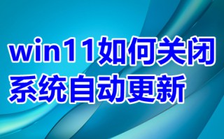 win11如何关闭系统自动更新 win11永久关闭系统自动更新的方法介绍