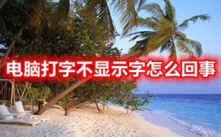 电脑打字不显示字怎么回事 电脑打字不显示字的原因及解决方法
