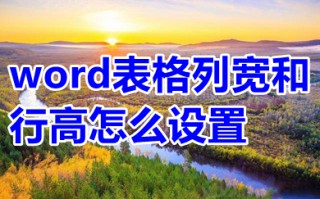 word表格列宽和行高怎么设置 word表格列宽和行高设置方法