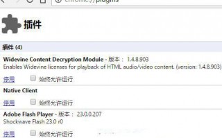 Win10下Chrome浏览器无法安装Adobe Flash Player如何解决