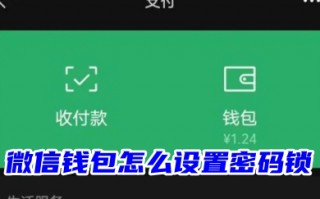 微信钱包怎么设置密码锁 微信钱包页面怎么加密