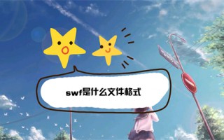 swf是什么文件格式 swf与flv的区别
