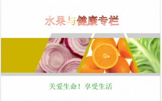 如何给ppt加页码（幻灯片添加页码详细教程）