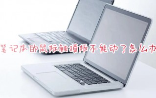 笔记本的鼠标触摸板不能动了怎么办 触摸板禁用了怎么打开