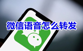 微信语音怎么转发 微信语音怎么发送给好友