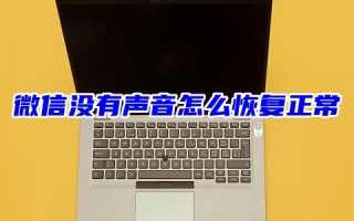 微信没有声音怎么恢复正常 微信语音听不见声音怎么设置