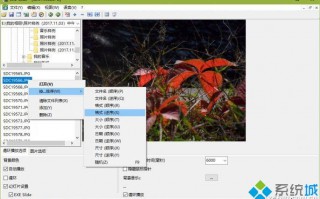 Win10系统创建多媒体相册的方法