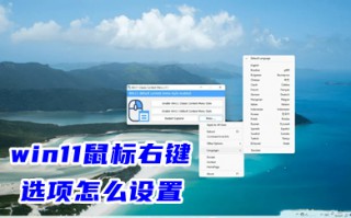 win11鼠标右键选项怎么设置 去掉win11右键折叠菜单教程