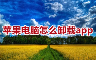 苹果电脑怎么卸载app 苹果电脑怎么卸载程序