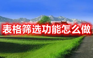表格筛选功能怎么做 表格筛选怎么操作