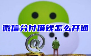 微信分付借钱怎么开通 微信开通分付教程