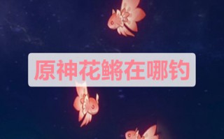 原神花鳉在哪钓 原神花鳉鱼地点分布图